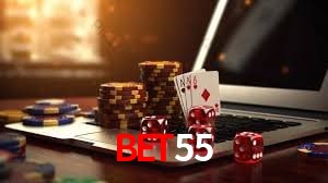 Interface Premium bet55