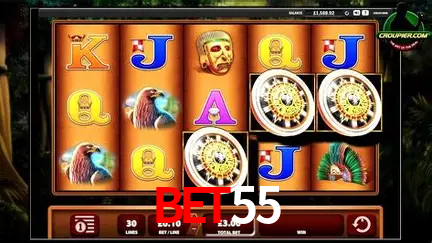 A Experiência Imersiva dos Cassinos Ao Vivo no bet55