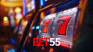 Sistemas de Segurança bet55