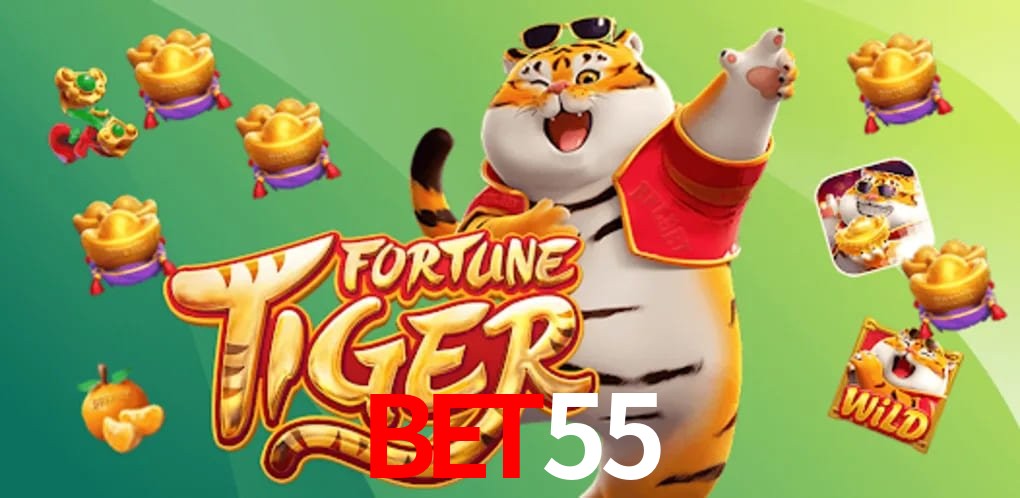 Experiência VIP bet55
